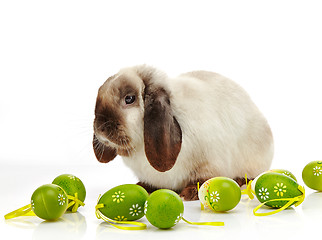 Image showing rabbit and Easter eggs