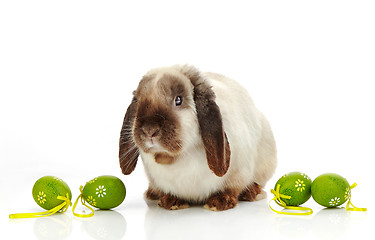 Image showing rabbit and Easter eggs