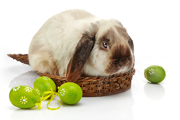 Image showing rabbit and Easter eggs