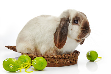 Image showing rabbit and Easter eggs