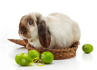 Image showing rabbit and Easter eggs