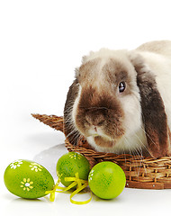 Image showing rabbit and Easter eggs