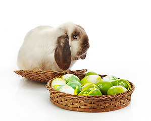 Image showing rabbit and Easter eggs