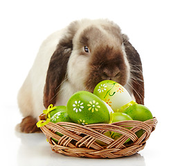 Image showing Rabbit and Easter eggs