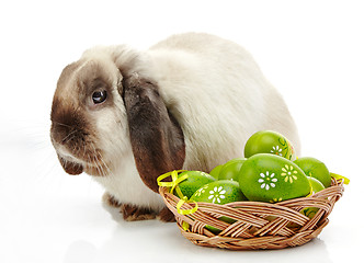 Image showing Rabbit and Easter eggs