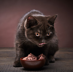 Image showing brown kitten and cat food