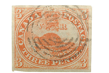 Image showing First Postage Stamp of Canada (1851) - 3 Pence Beaver