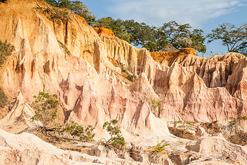 Image showing Marafa Canyon - Kenya