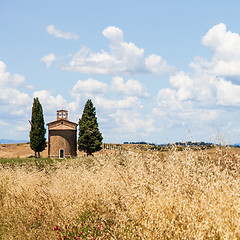 Image showing Tuscan country