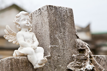 Image showing Cemetary architectures - Europe