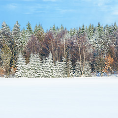 Image showing winter scenery