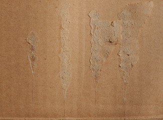 Image showing Corrugated cardboard