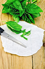 Image showing Basil green fresh with scissors on a board