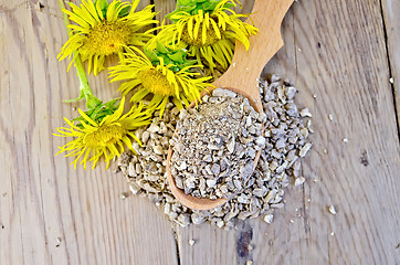 Image showing Herbal tea from the root of Elecampane on a spoon on top