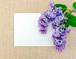 Image showing Lilac on sackcloth with paper