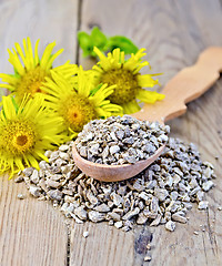 Image showing Herbal tea from the root of Elecampane on a spoon with flowers