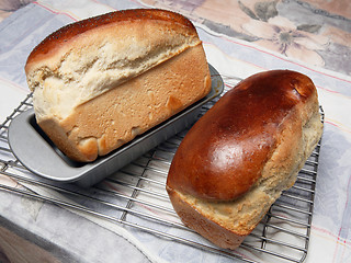 Image showing Fresh bread