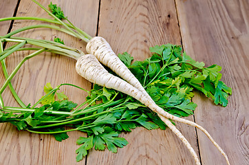 Image showing Parsley root on a blackboard