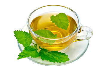 Image showing Herbal tea with nettles in a glass cup