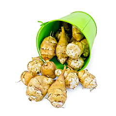 Image showing Jerusalem artichoke pours of green bucket