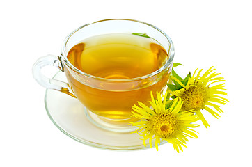 Image showing Herbal tea with elecampane in a glass cup