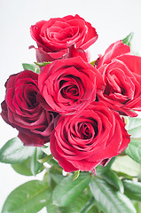 Image showing Bunch of five red roses