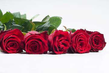 Image showing Five red roses