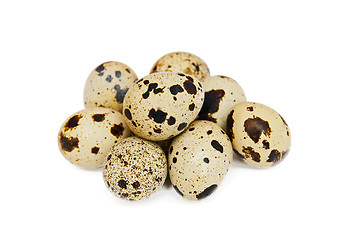 Image showing Quail eggs