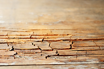 Image showing brown grunge old cracked wooden texture, small depth of field