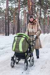 Image showing beautiful young mother with carriage