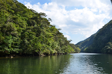 Image showing River reflections