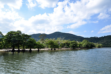 Image showing Tropical river view