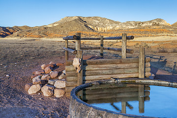 Image showing cattle watering hole in Colorado mountains