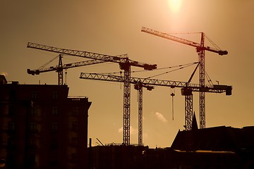 Image showing Cranes