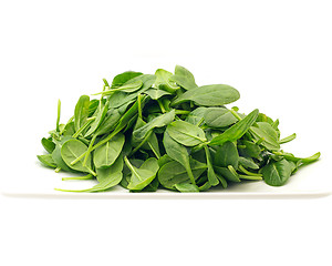 Image showing Spinach