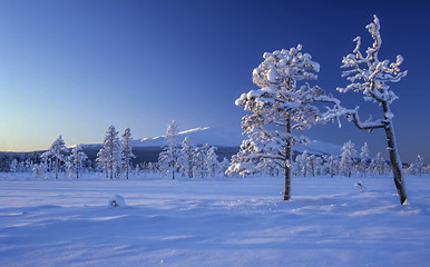 Image showing winter landscape