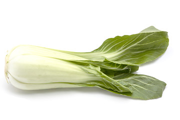 Image showing chinese cabbage
