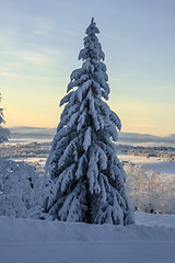 Image showing winter landscape