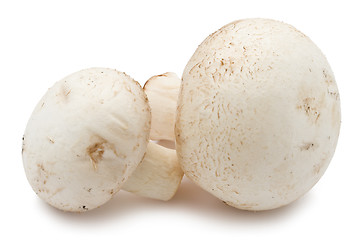 Image showing Champignon mushrooms