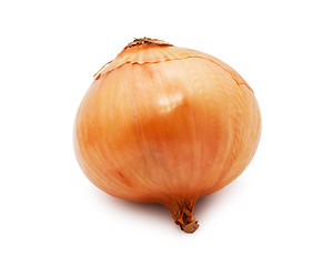 Image showing Onion