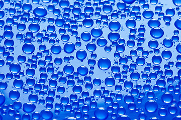 Image showing Water drops