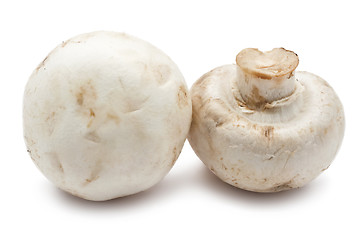 Image showing Champignon mushrooms