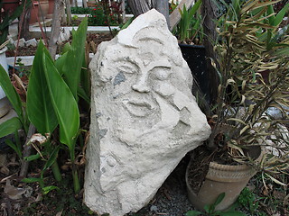 Image showing Garden face. Cyprus