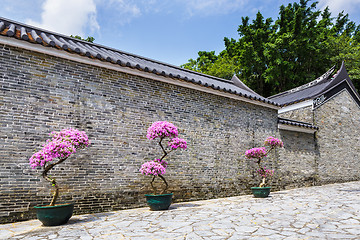 Image showing Traditional chinese garden