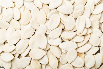 Image showing Pumpkin seeds