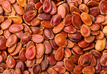 Image showing Red melon seeds 