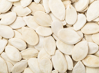 Image showing Pumpkin seed