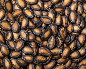 Image showing Dried black melon seed