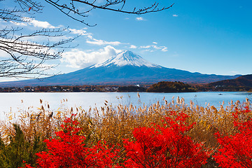 Image showing Mt. Fuji in autumn