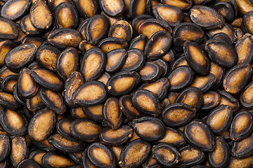 Image showing Black watermelon seed